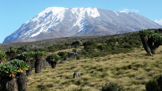 Kilimangiaro