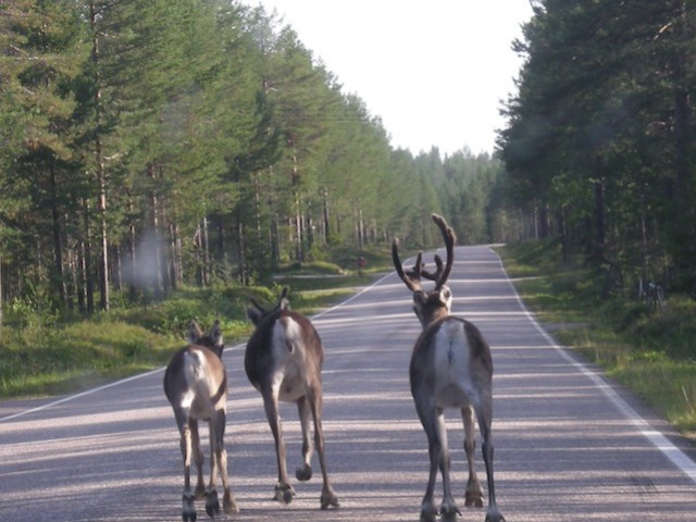 Finlandia