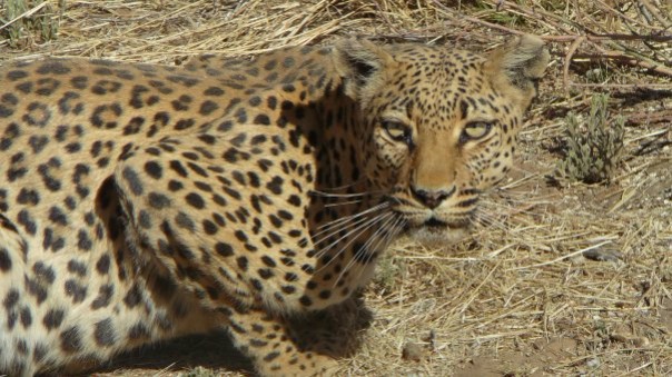 Namibia
