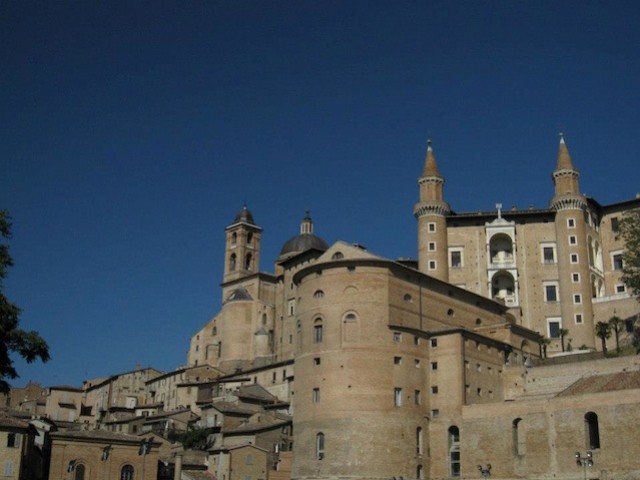 urbino
