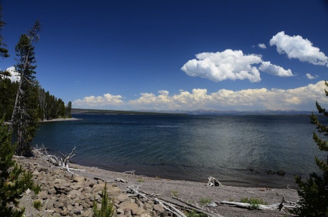 Yellowstone
