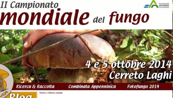 Come guarirà un fungo su pelle