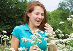Allergia ai fiori 