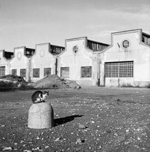 Paesaggi della memoria in mostra a Samarate