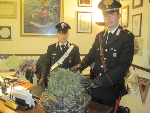 Marijuana sequestrata a Tradate