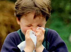 influenza suina incontro usi svizzera