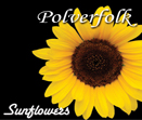 Sunflowers, il nuovo cd della Polverfolk
