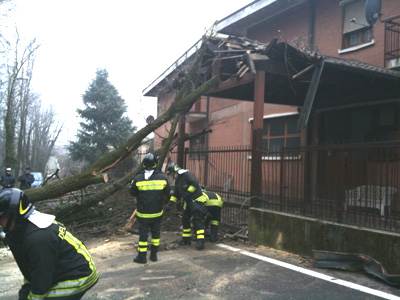 quercia caduta tradate