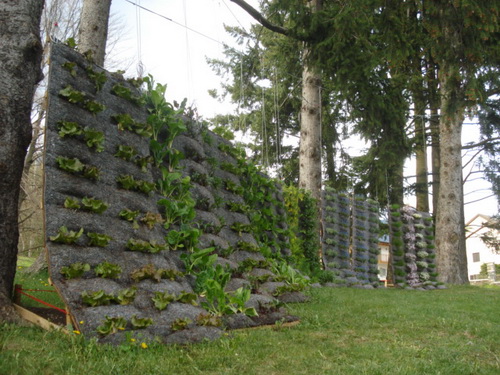 L'orto del futuro? E' verticale