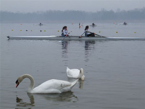 regata canottaggio schiranna marzo 2010