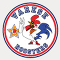nuovo marchio roosters varese