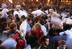Gallarate si prepara alla sua prima battaglia coi cuscini 