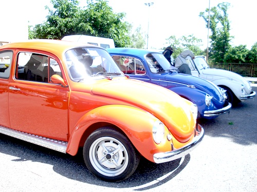 Maggioloni volkswaghen