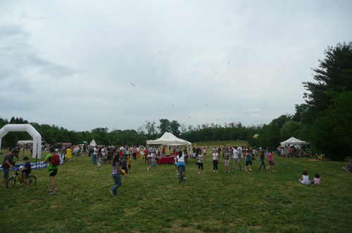 Festa d'estate 2010