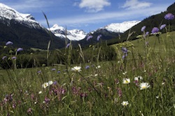 unesco parco nazionale svizzero