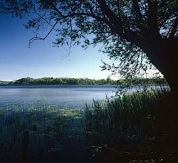 lago di varese 