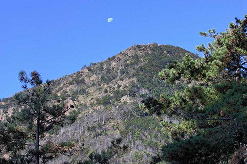 IL monte san Giorgio