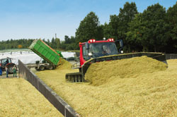 agricoltura
