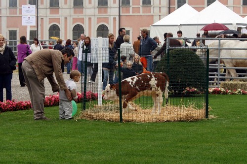 Agrivarese ai giardini estensi