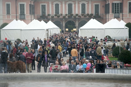 agrivarese in città