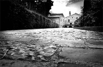 san francesco foto