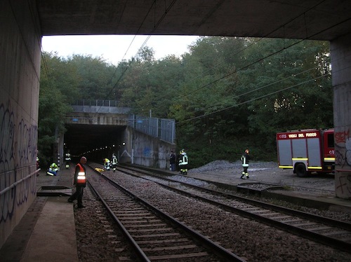 Il treno fermo a Ferno