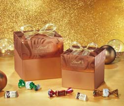 Dolci  idee regalo per Natale nel negozio Lindt di Legnano