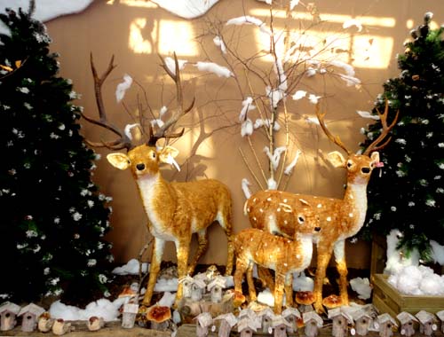 Grande assortimento di decorazioni di Natale, da Nicora Garden Center a Varese e Gazzada Schianno.