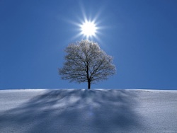 neve sole