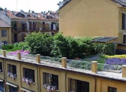 Il giardino sul tetto