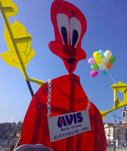 avis medio verbano cittiglio