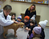 Il veterinario con i bambini dell'English school