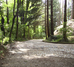 parco campo dei fiori