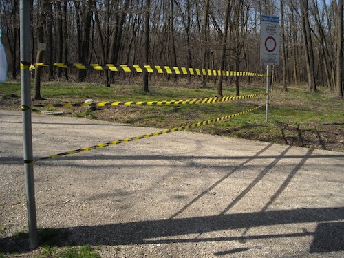 Malpensa, bosco "recintato" per simulare la terza pista