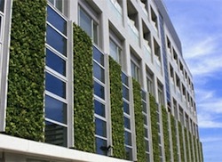 Architettura verde