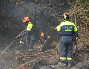 incendio bosco angera località berta 