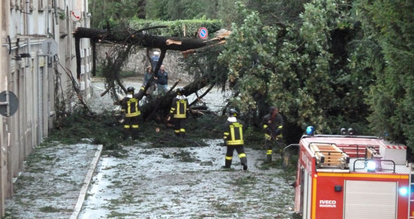 Gli effetti della grandinata del 13 luglio scorso