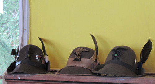alpini foto