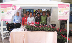 Il banchetto che sarà domenica 25 settembre a Varese