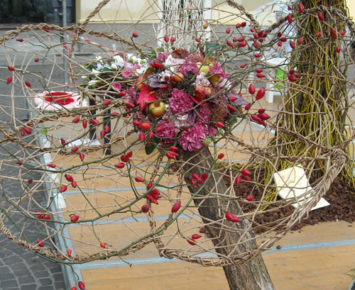 concorso fiori