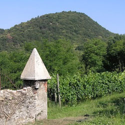 Ranco