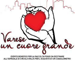 Il concerto benefico si svolgerà domenica 8 gennaio 2012
