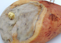 prosciutto foto