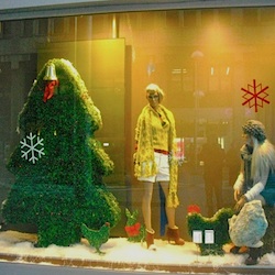 Vetrine di Natale