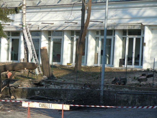 alberi tagliati casbeno