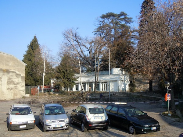 lettera aperta Bortoluzzi alberi casbeno
