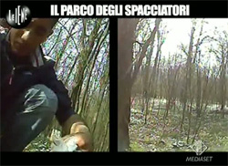 Il servizio andato in onda nella trasmissione Le Iene