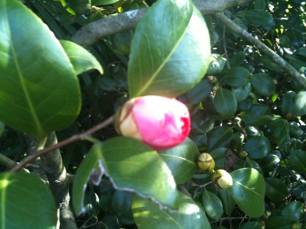 primavera equinozio