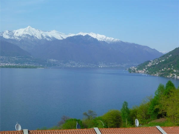 pino lago maggiore