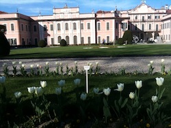 isolaaa art day 2012